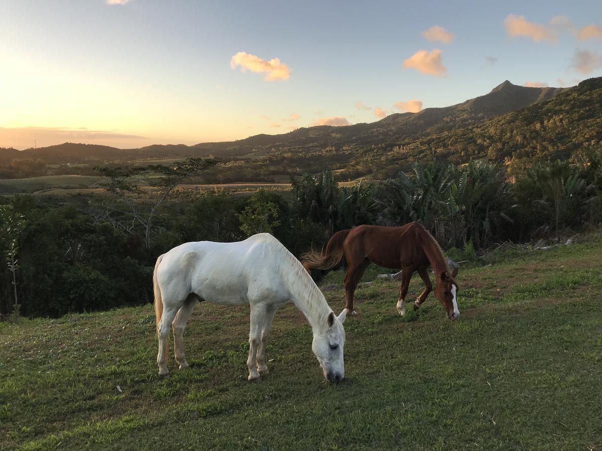 La Vieille Cheminee Villa Chamarel Eksteriør bilde